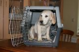CAGE - BOX 017